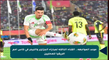 موعد المواجهة.. القناة الناقلة لمباراة الجزائر والنيجر في كأس أمم إفريقيا للمحليين